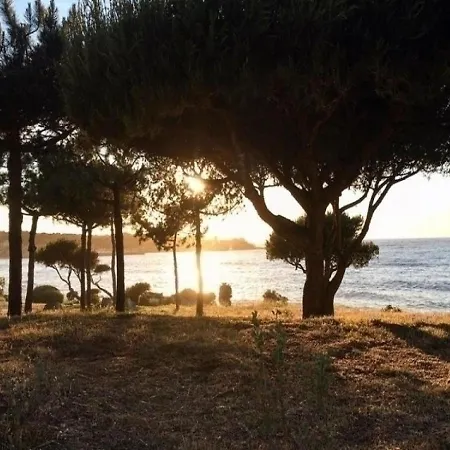 Appartement Aria Marina *